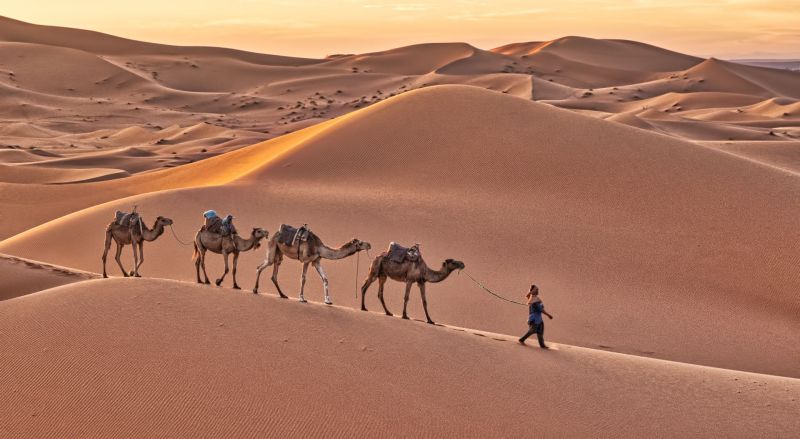 MOROCCO DESERT