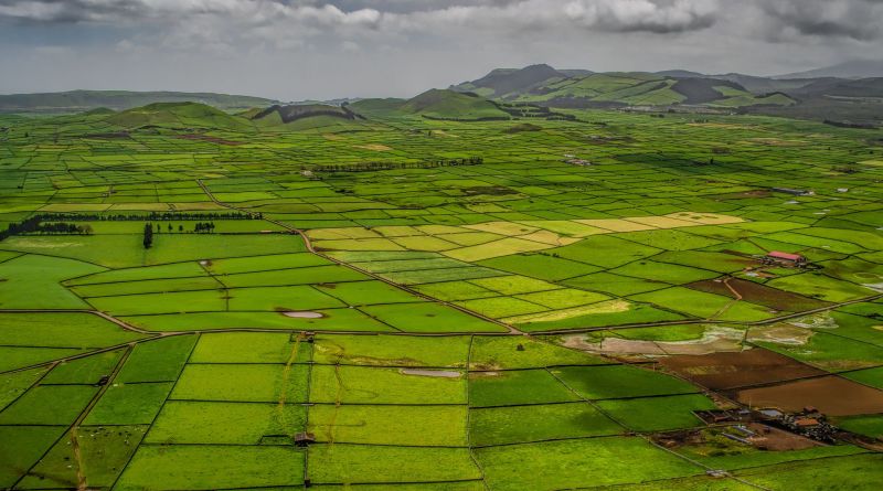 Azores natural quilt