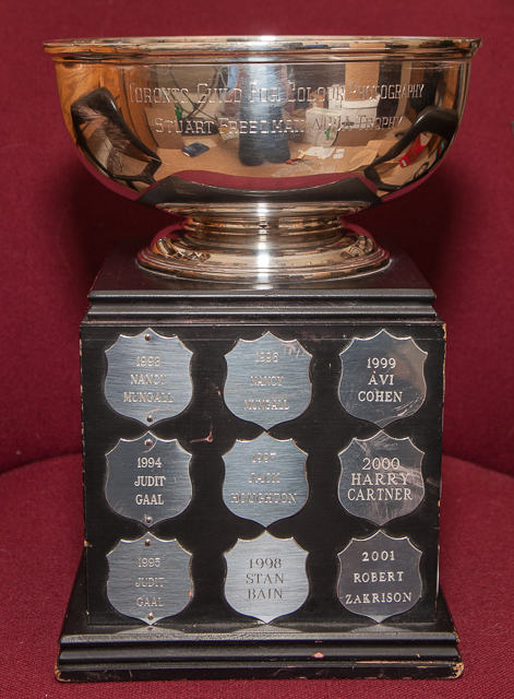 Stuart Freedman Trophy